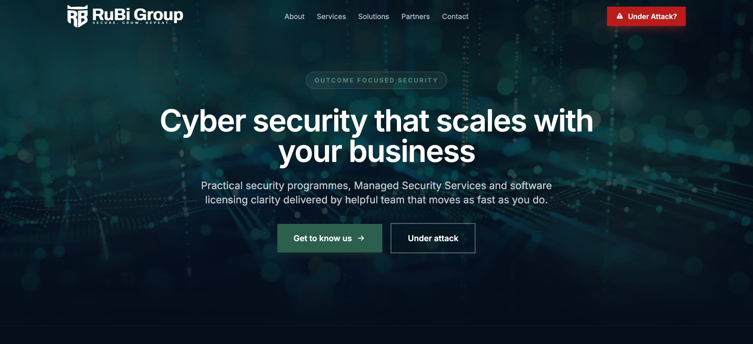 Rubi Group website preview